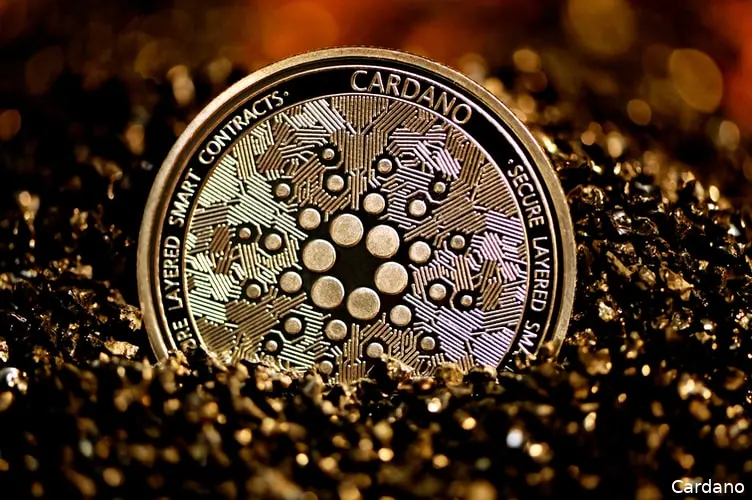 cardano