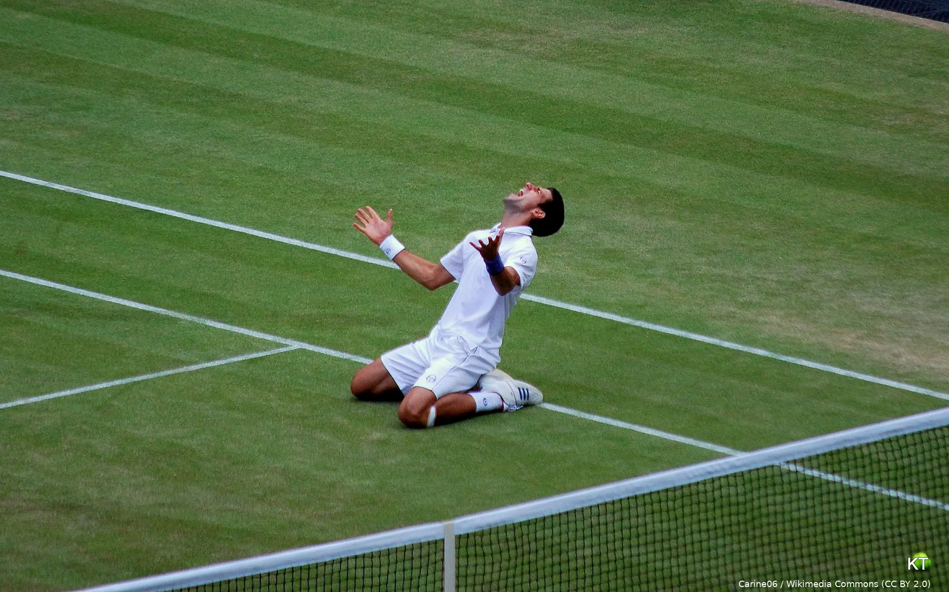 novak djokovic wimbledon 2011 semifinal win celebration