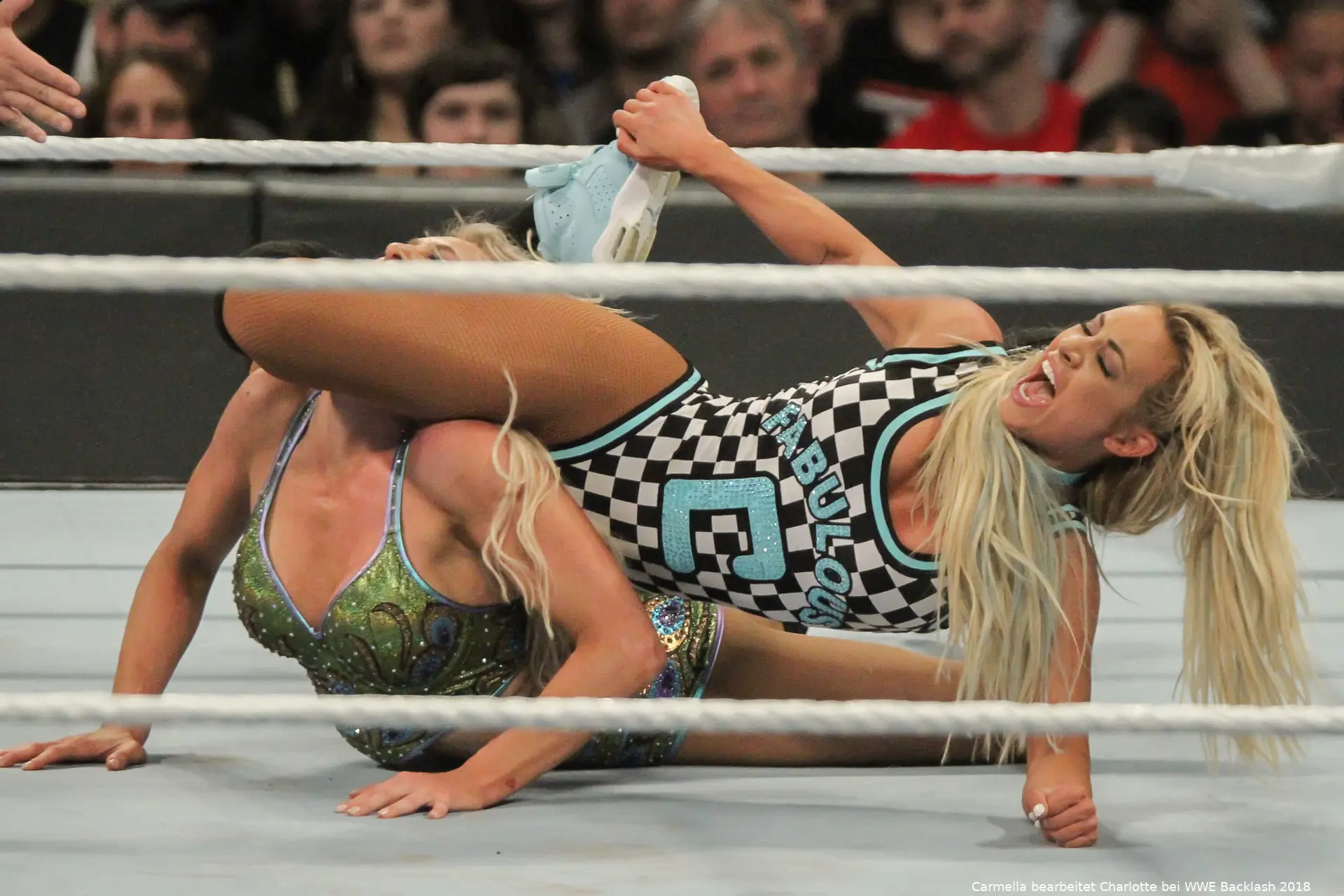 backlash newark 226
