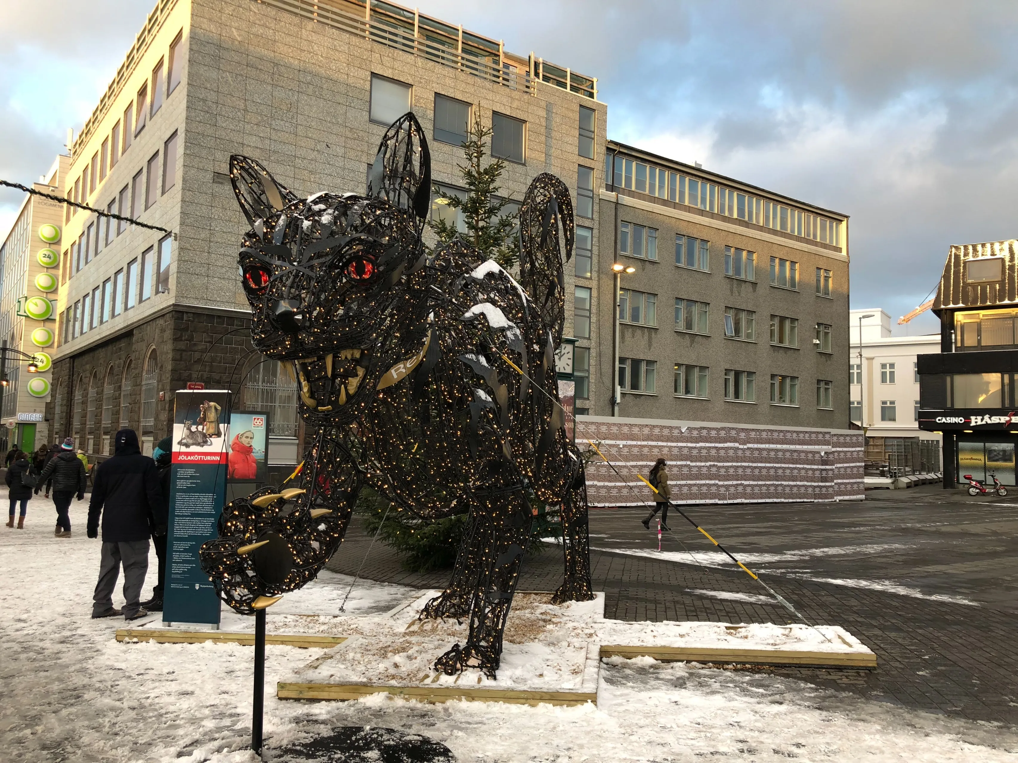 yule cat