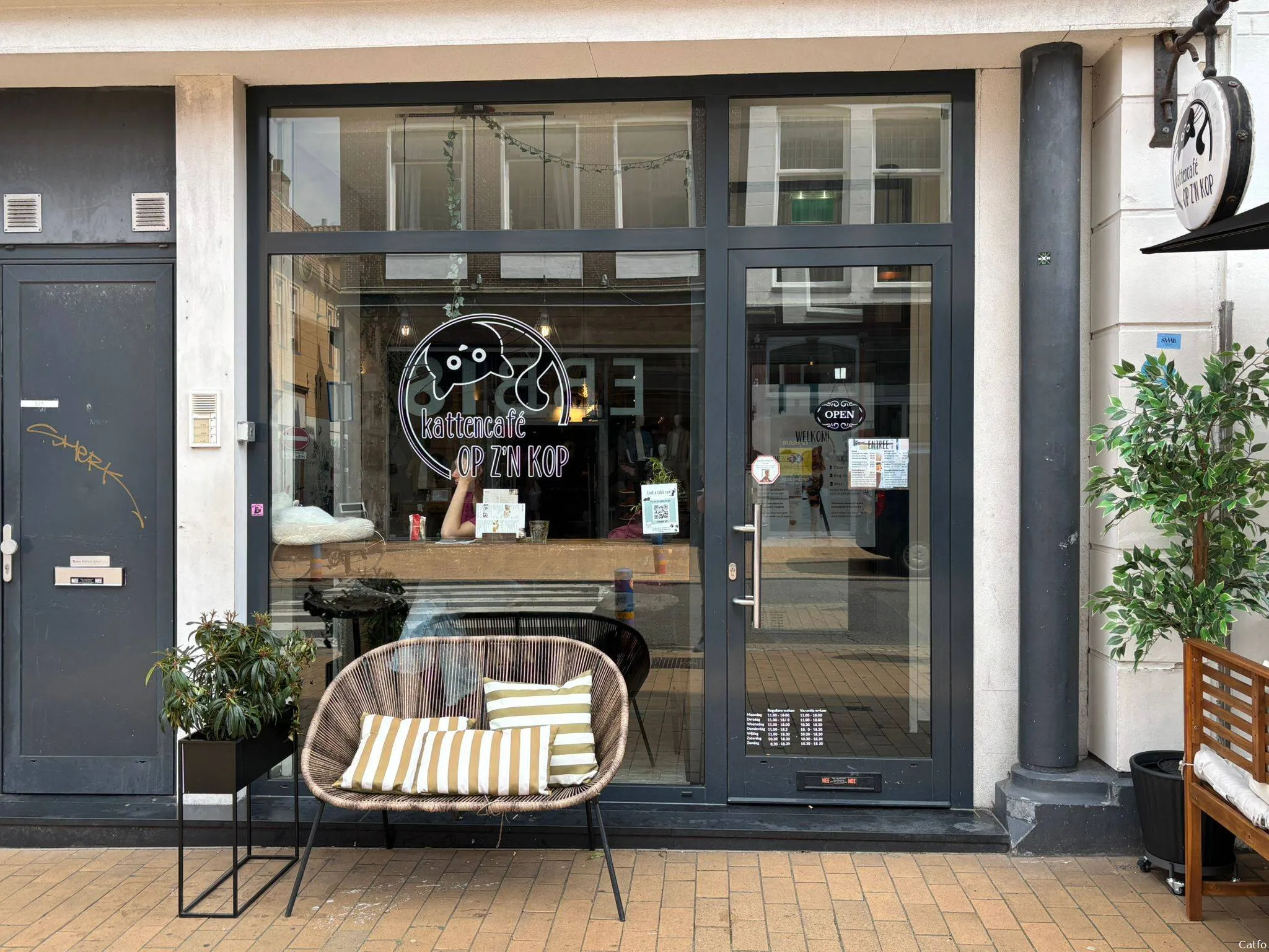 op zijn kop kattencafe0