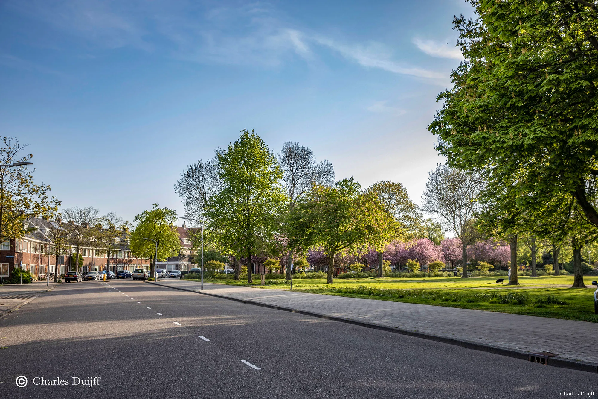 zaanenpark