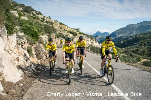 zingle campenaerts behrens mclay