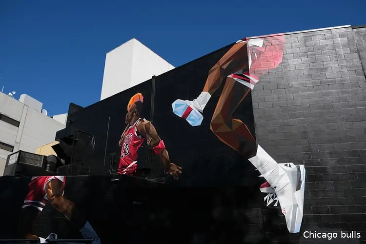 chicago bulls