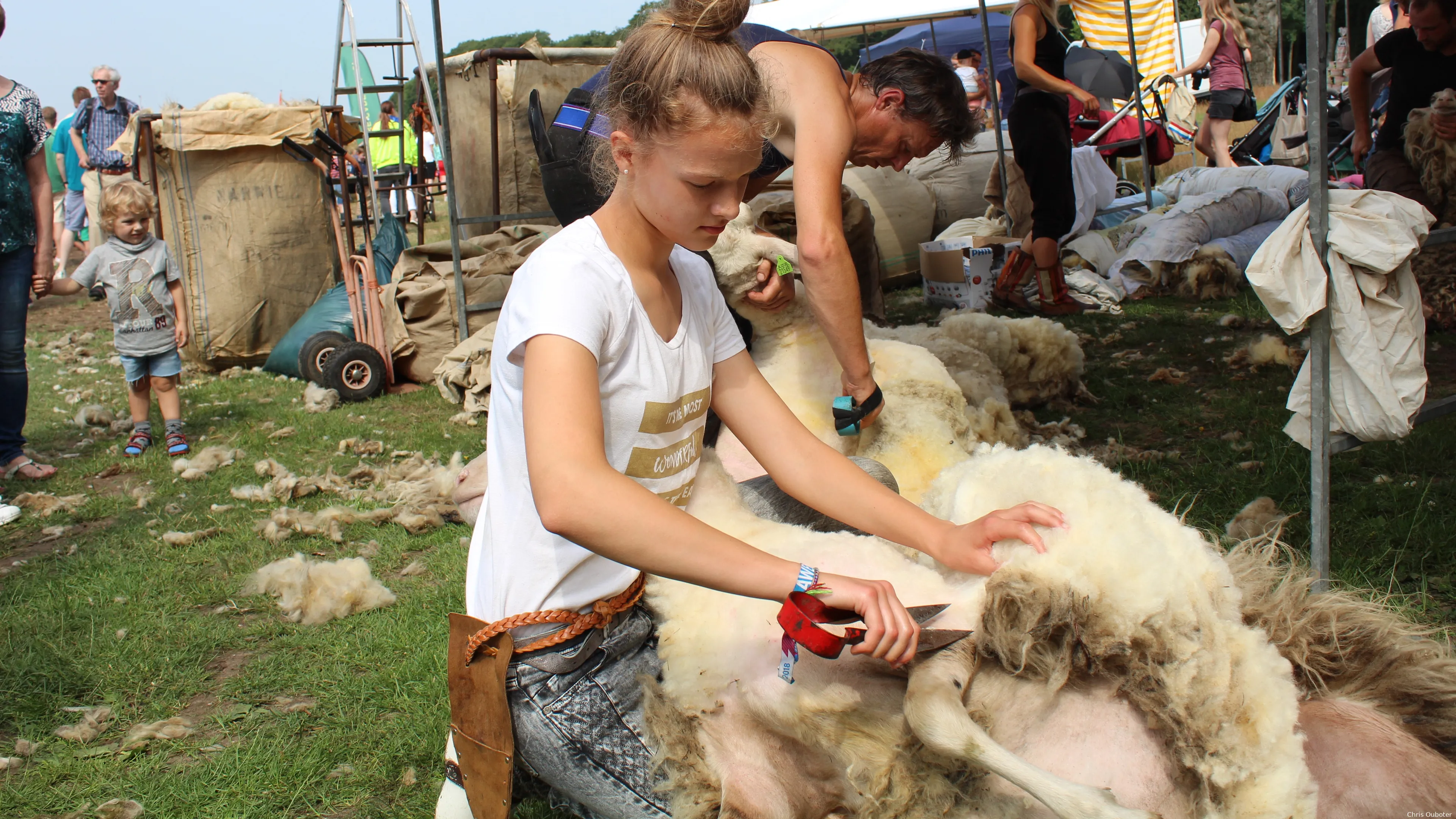 schaap scheeren ede 2018 chris ouboter