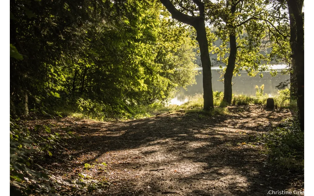 landschap natuur 35 3