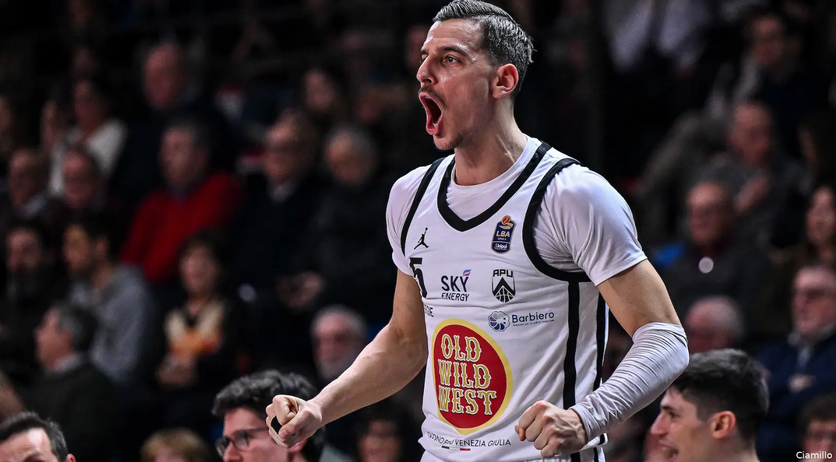 Mirza Alibegovic