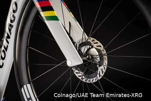 y1rs tadej pogacar uae