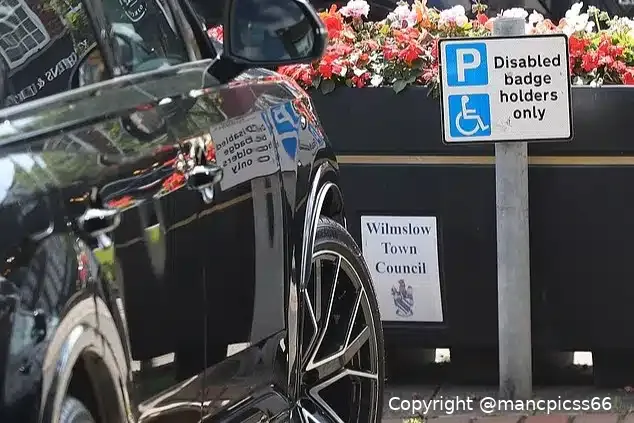 auto rooney disabili 2