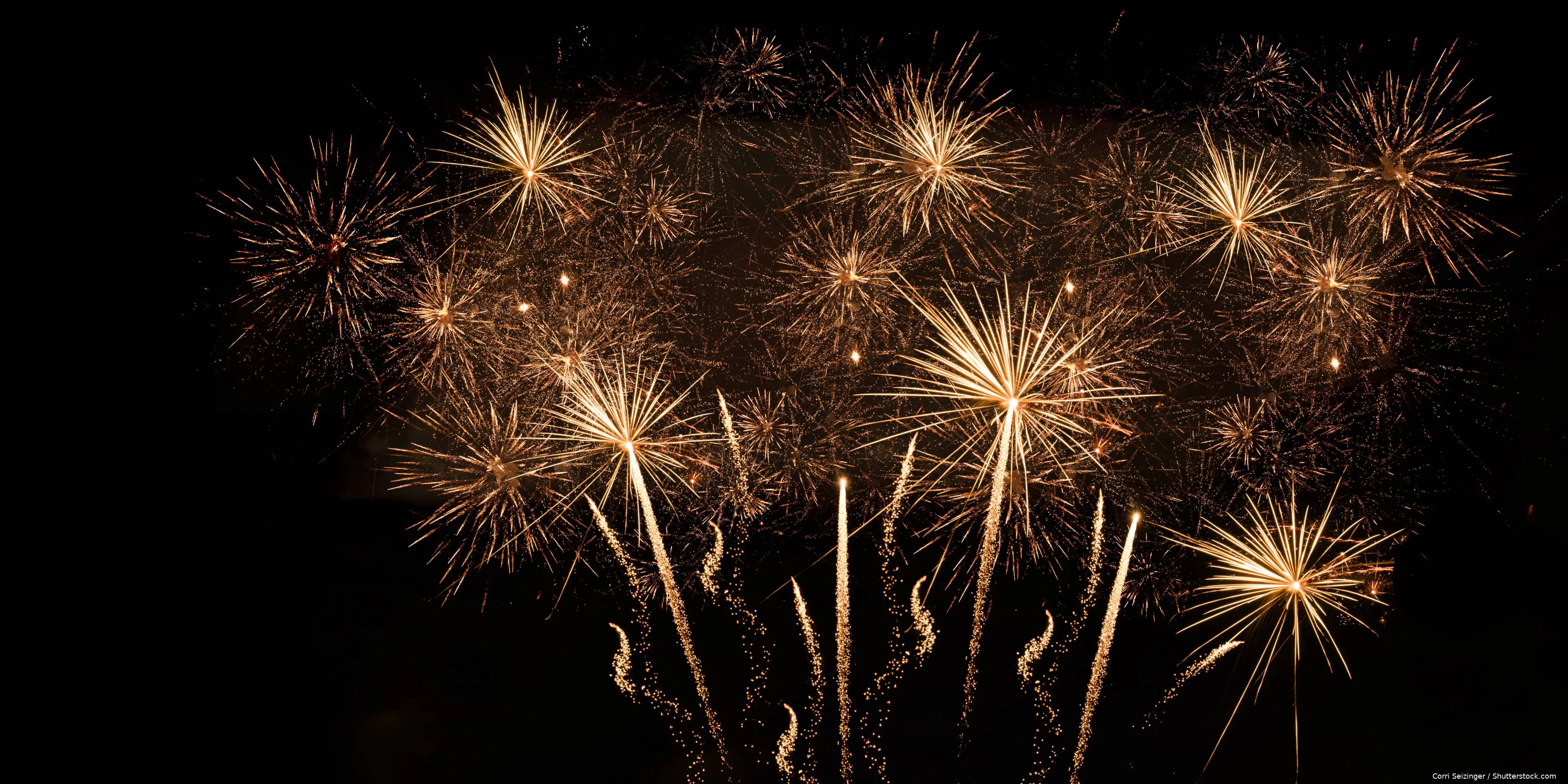 shutterstock_2558056469