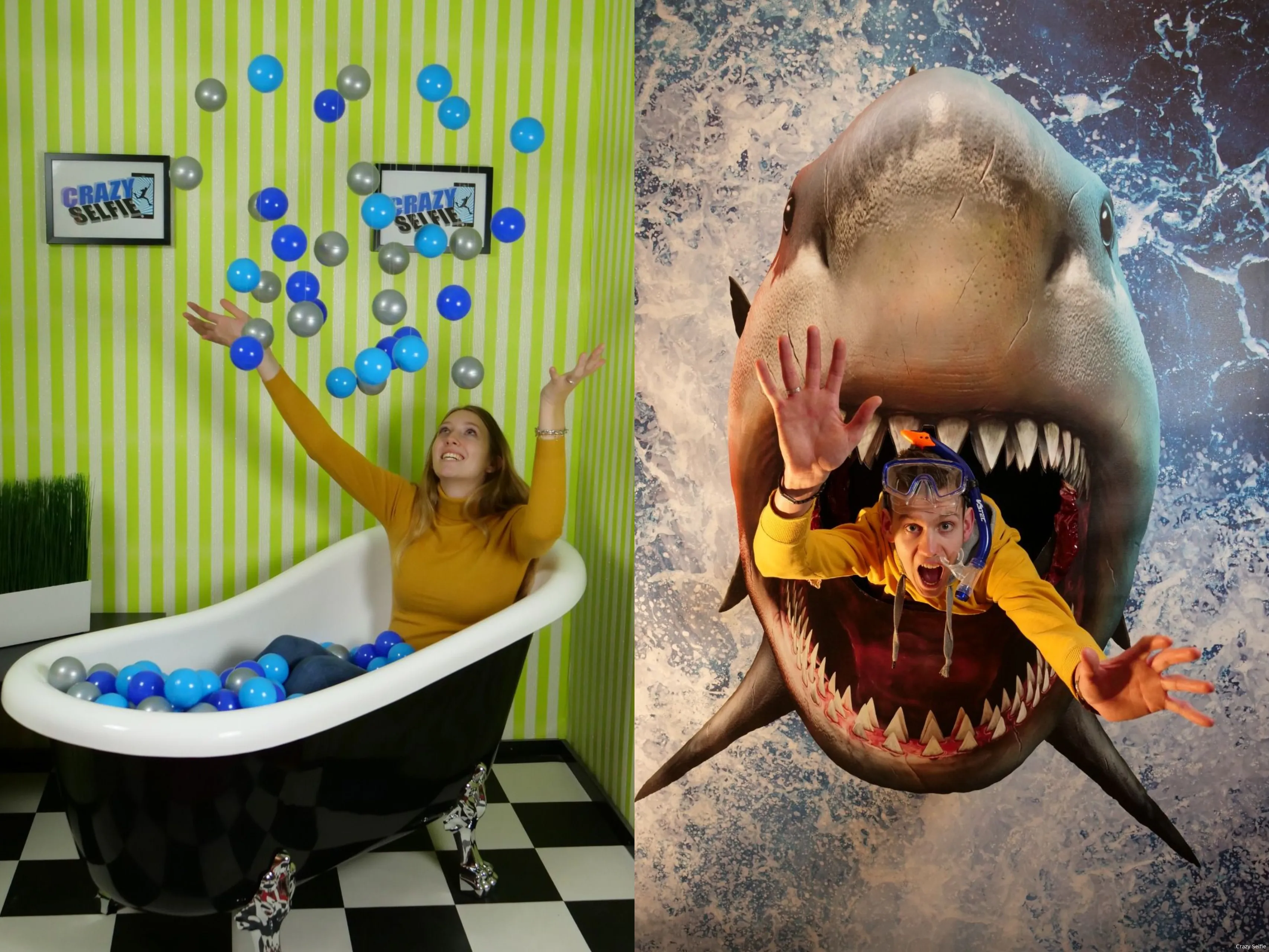 collage crazy selfie ballenbad en haai