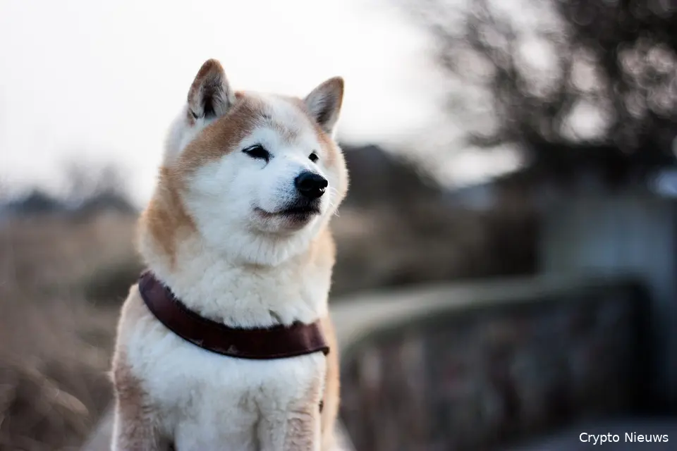 dogecoin nieuws