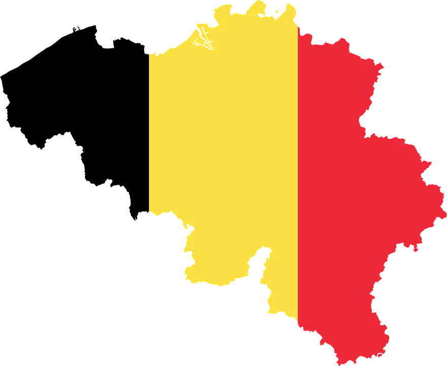 fsma digitale activa