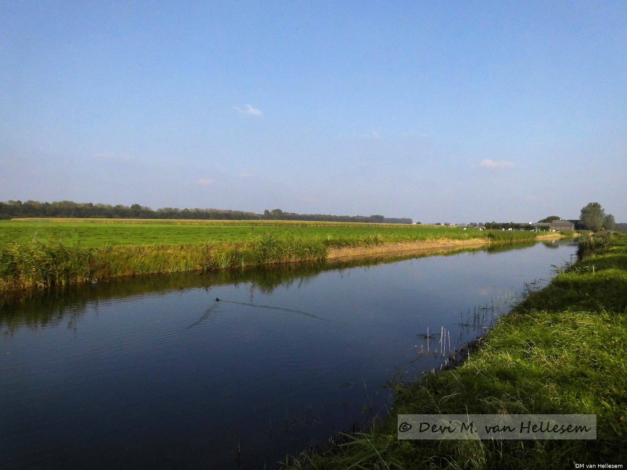 Canal Cleanup: de Linge