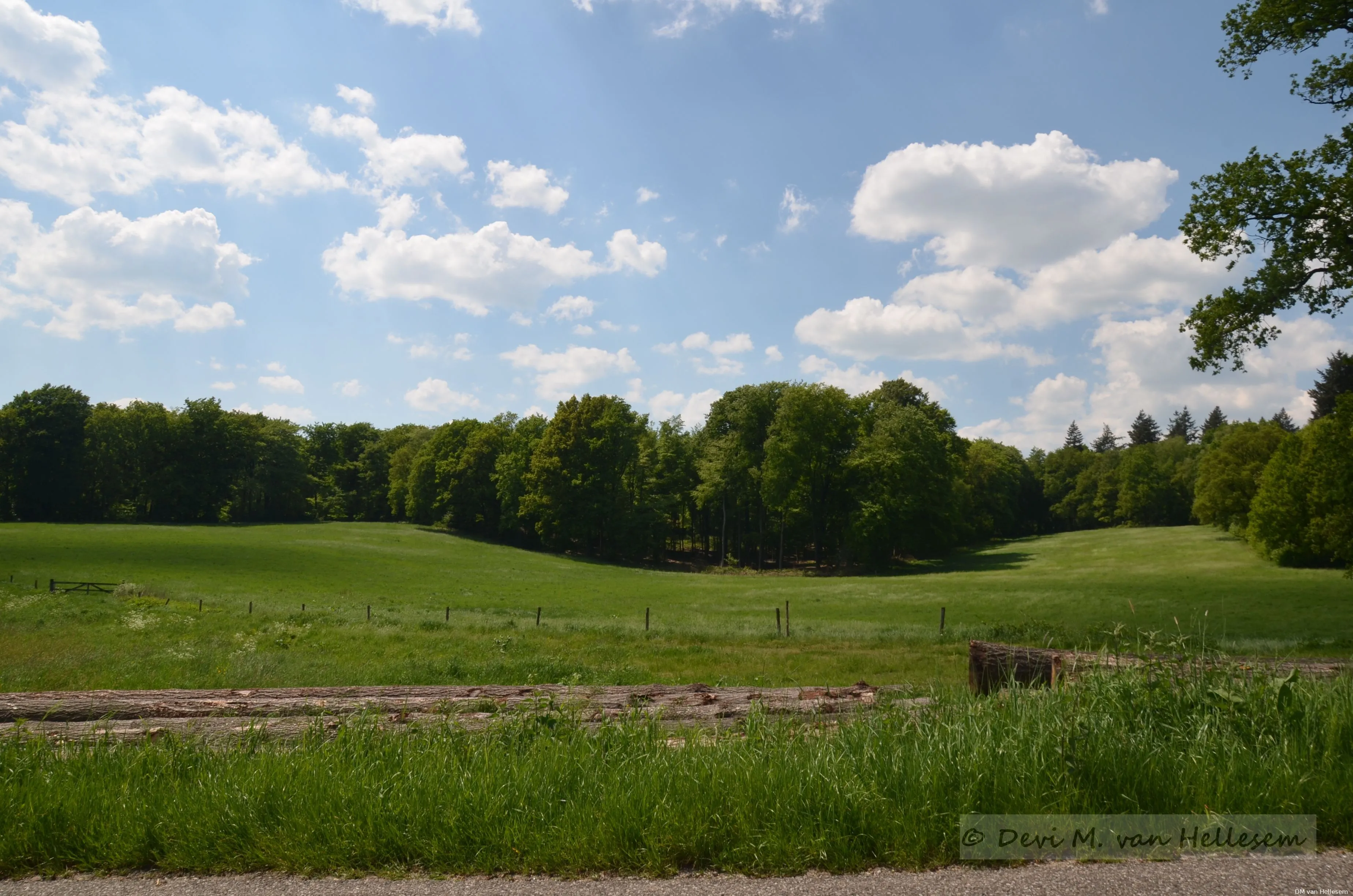 13 05 2023 oosterbeek waterval 6