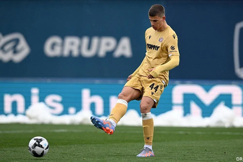 le psg tombe de haut vuksovic signe a tottenham vuksovic 365321