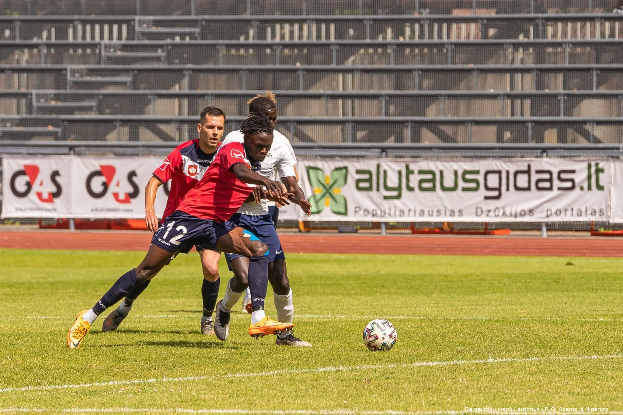 daineg293312365 2252748241539126 7465923026268597716 n