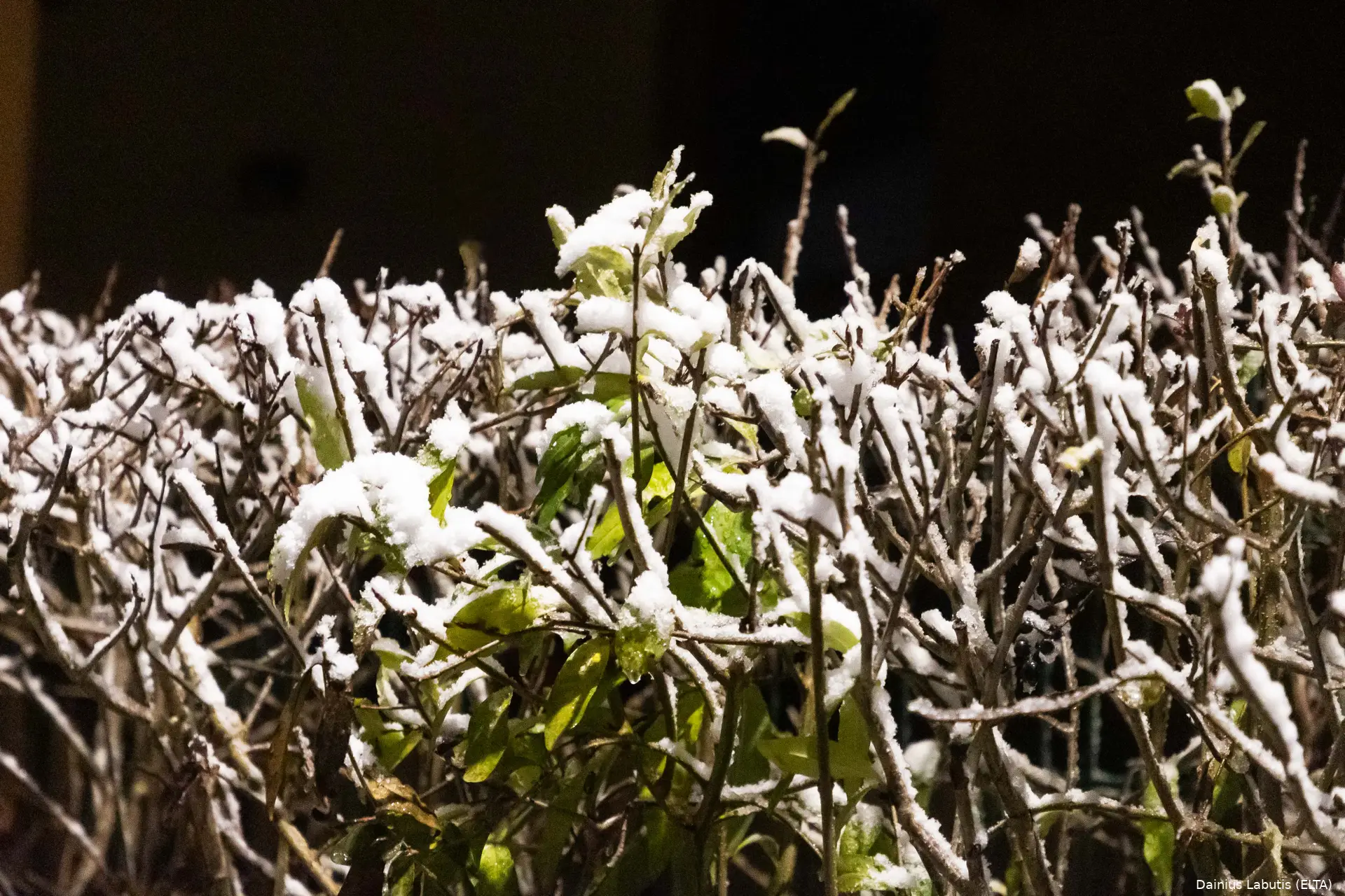 photo 5127579