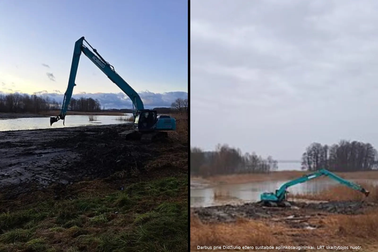 befunky sample 2023 01 06t211008944