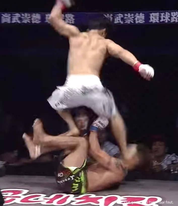 mma vechter