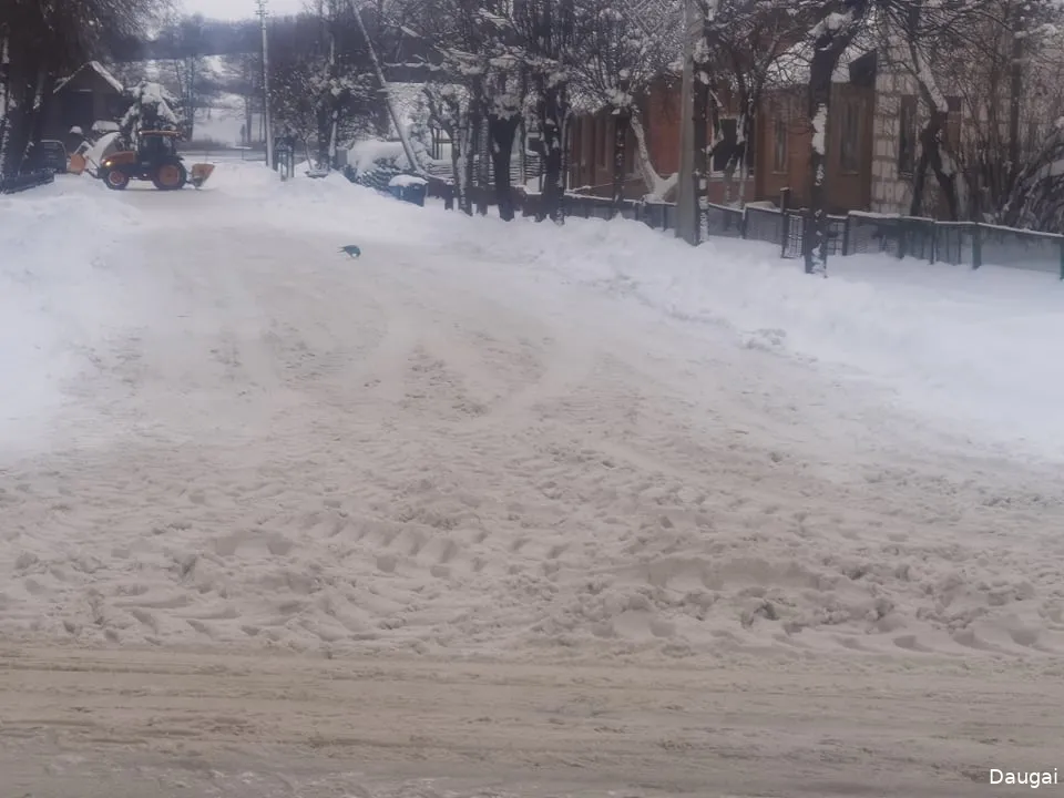 319652475 2111097712409899 5893397885604506087 n