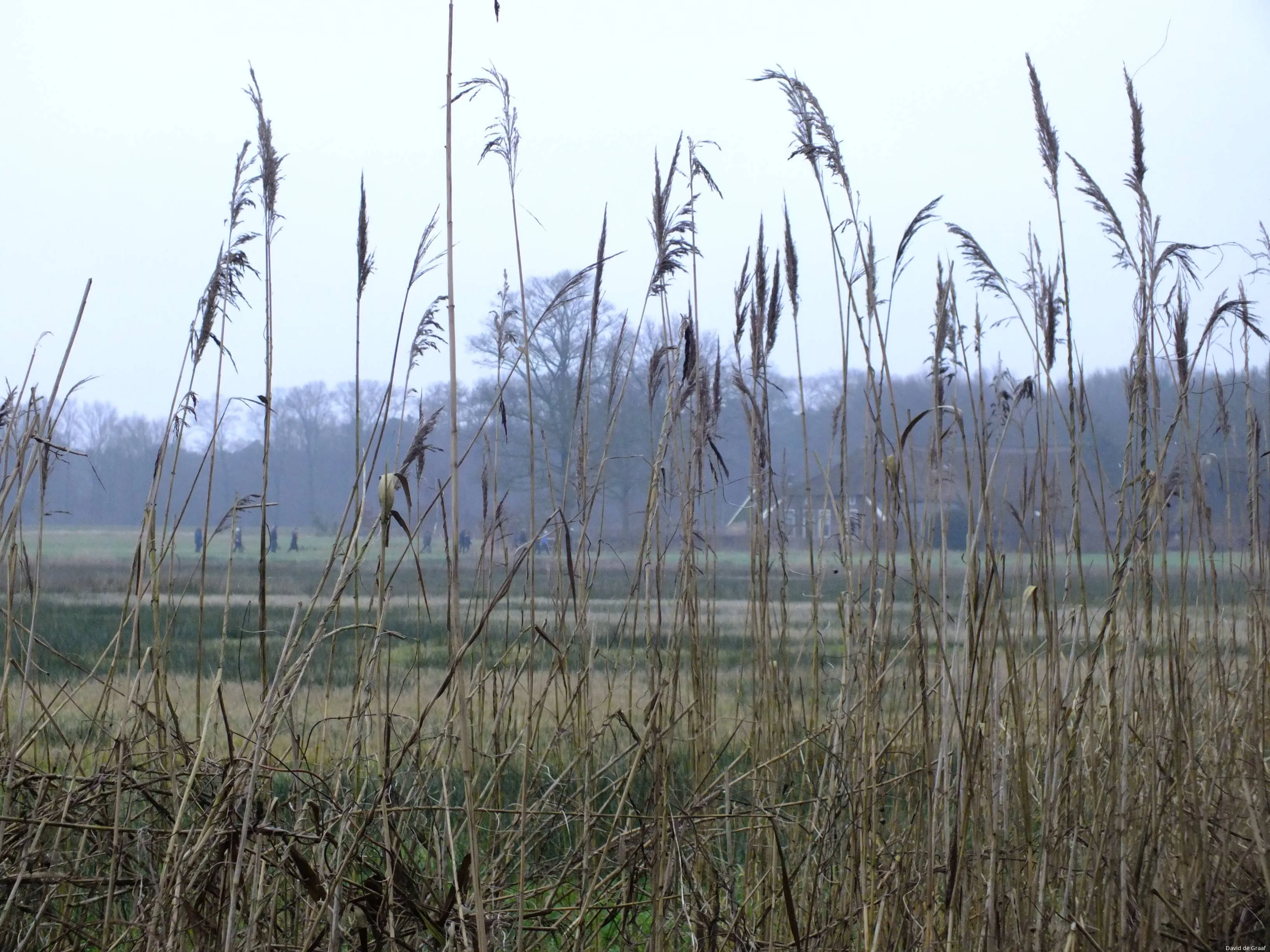 oud avereest expo david de graaf