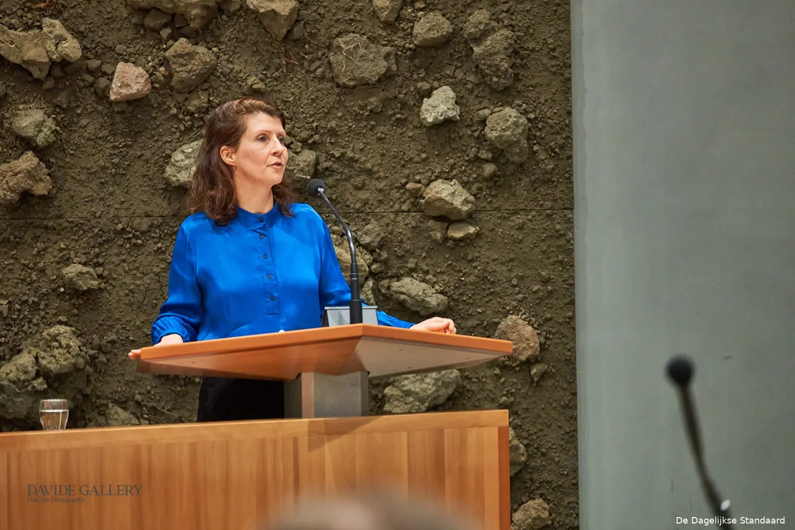 de dagelijkse standaard dh 01128