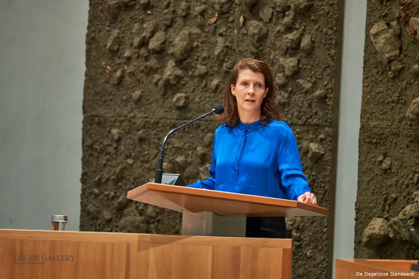 de dagelijkse standaard dh 01131