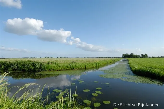 rijnenburg