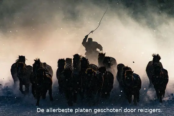 natgeo12