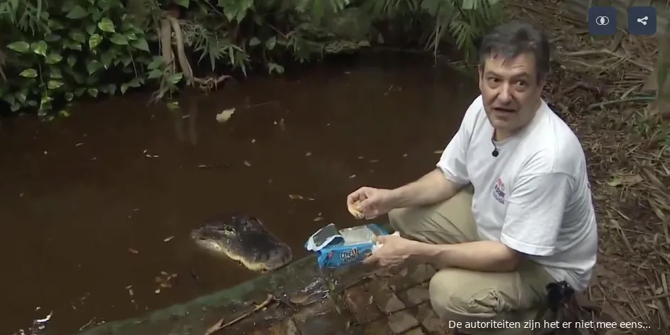gator