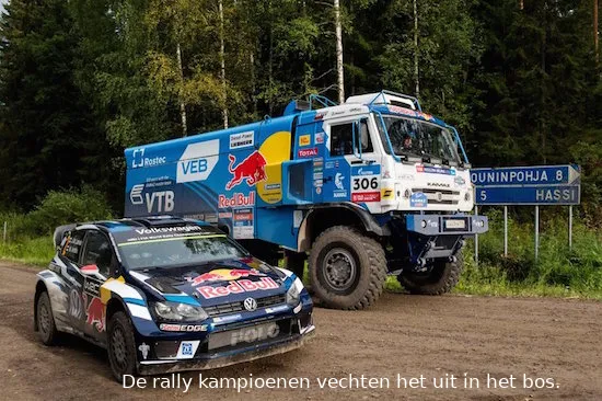 rally kampioenen