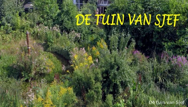 de tuin van sjef