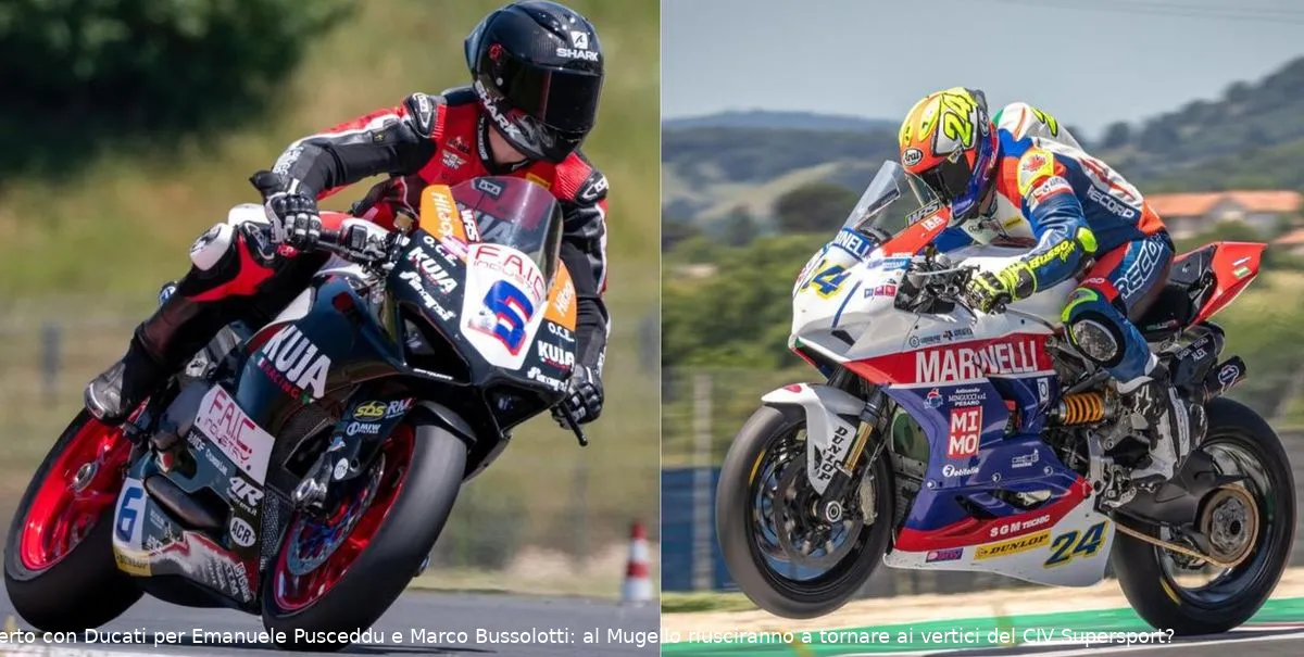 pusceddu bussolotti risultato