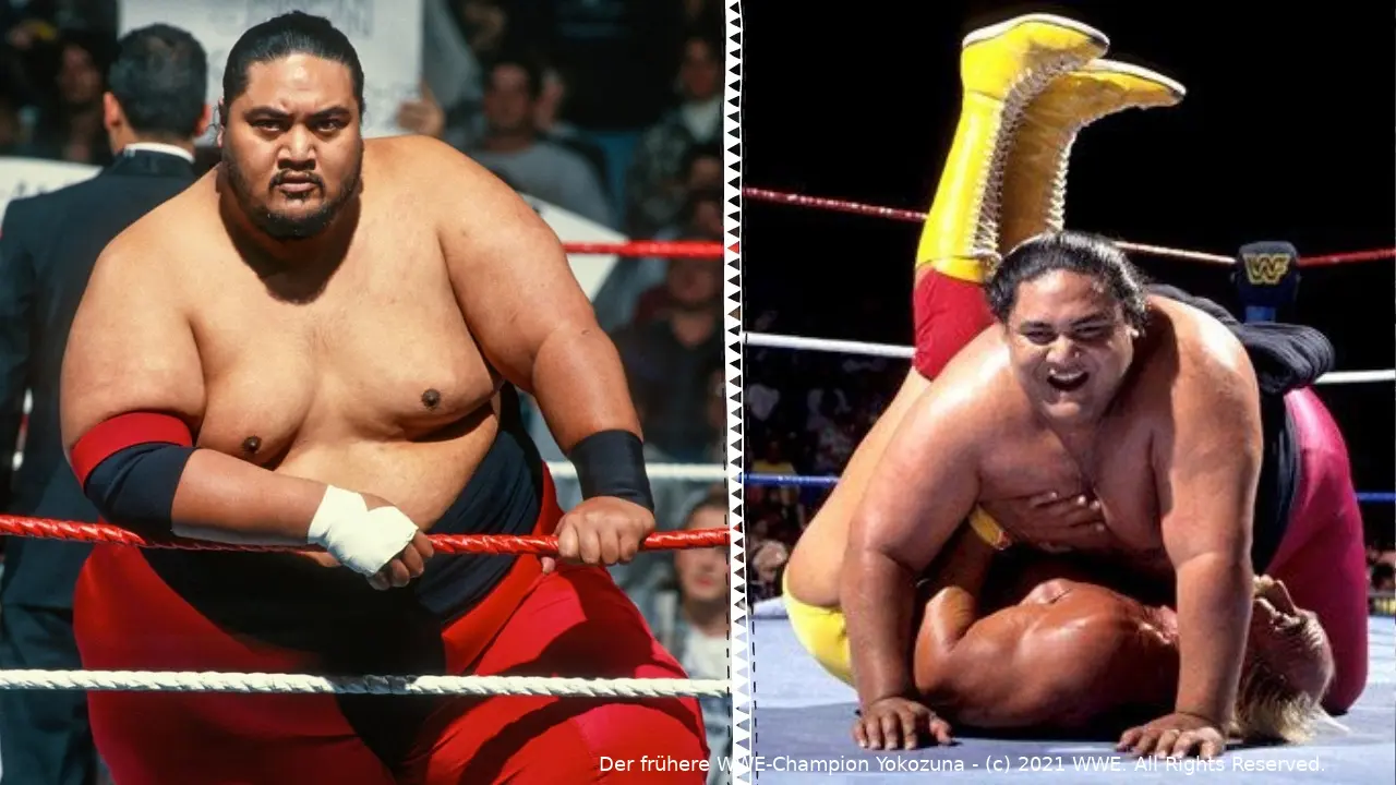 yokozuna 2