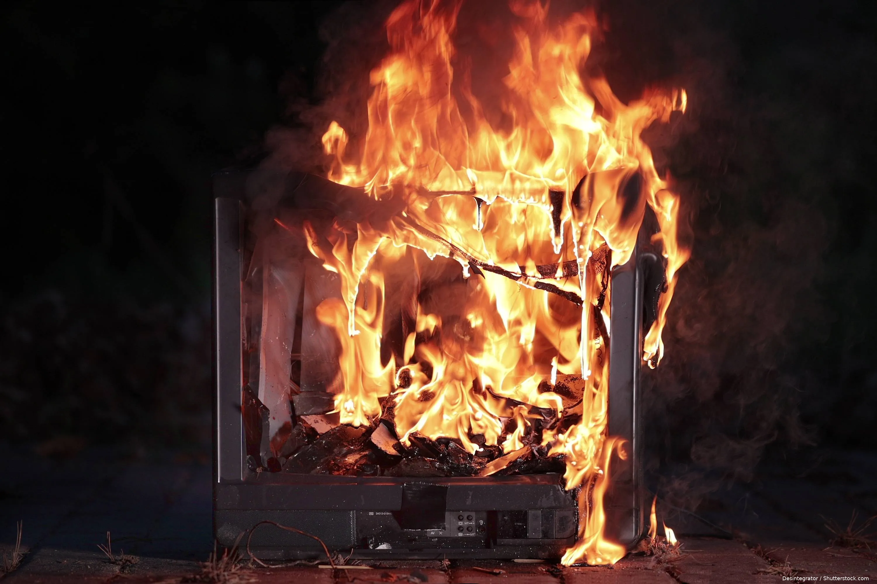 shutterstock_1998151427