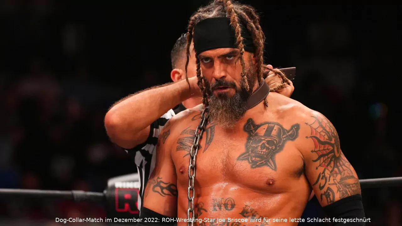 jay briscoe roh wrestling
