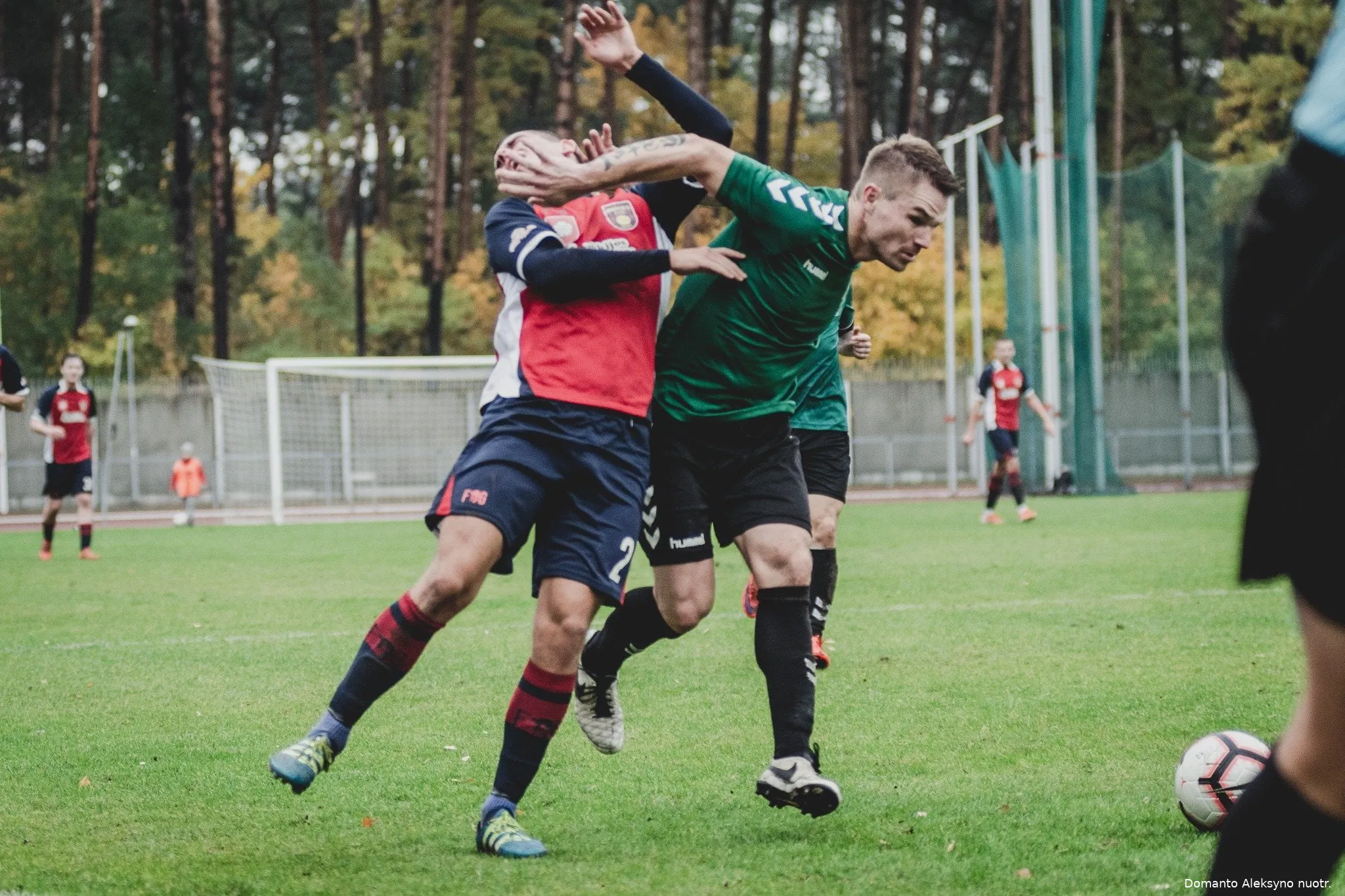 72394584 1404469386367020 7286333634510848000 o