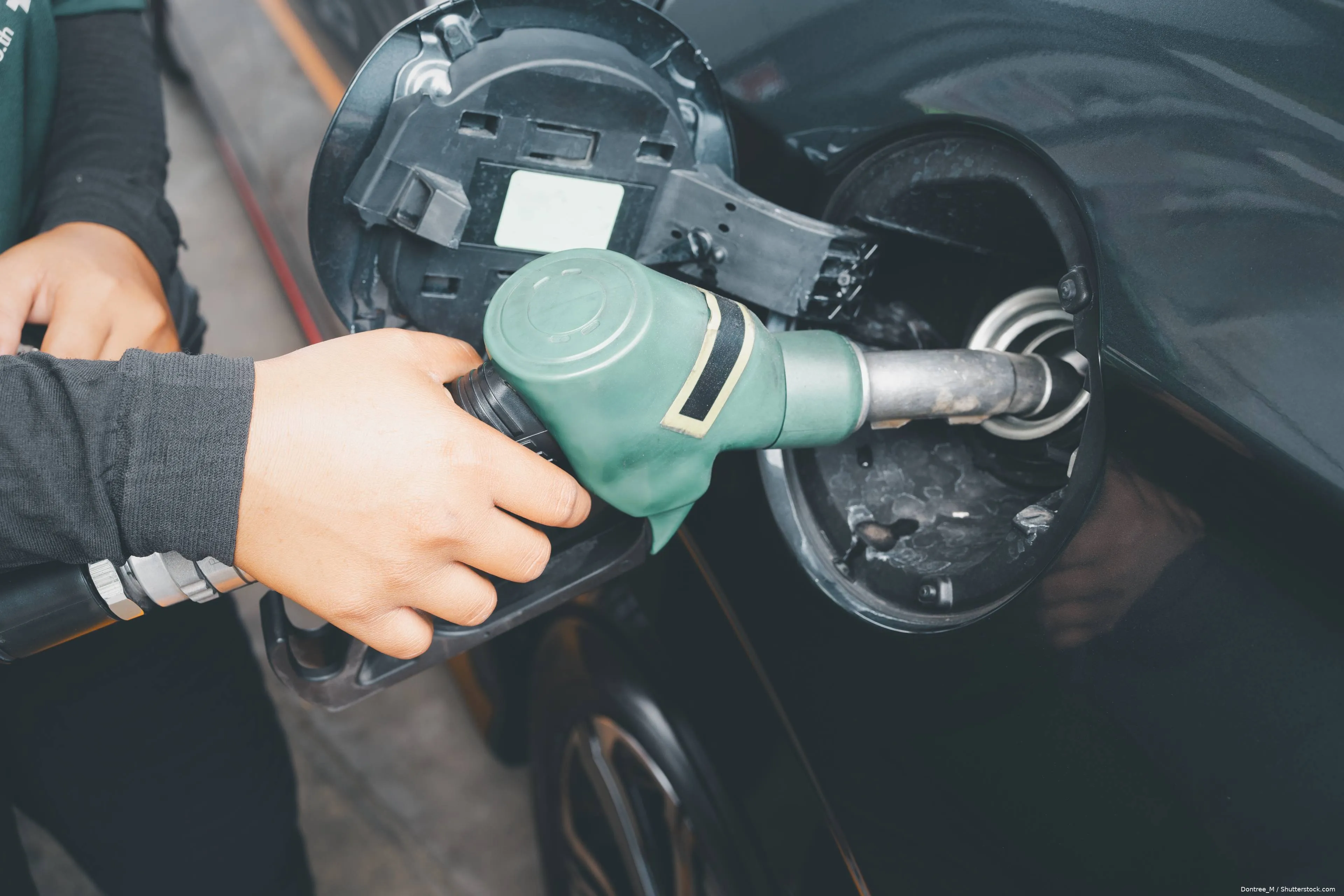 shutterstock_2468001881