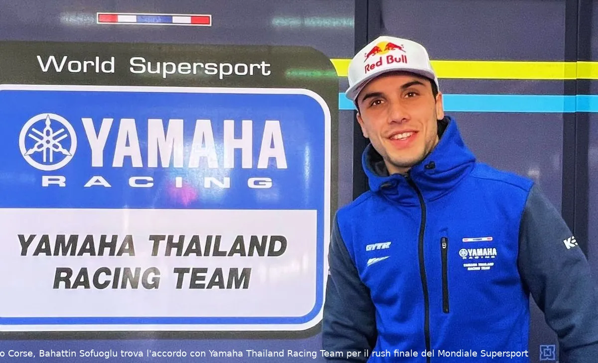 img 2499ambience risultato