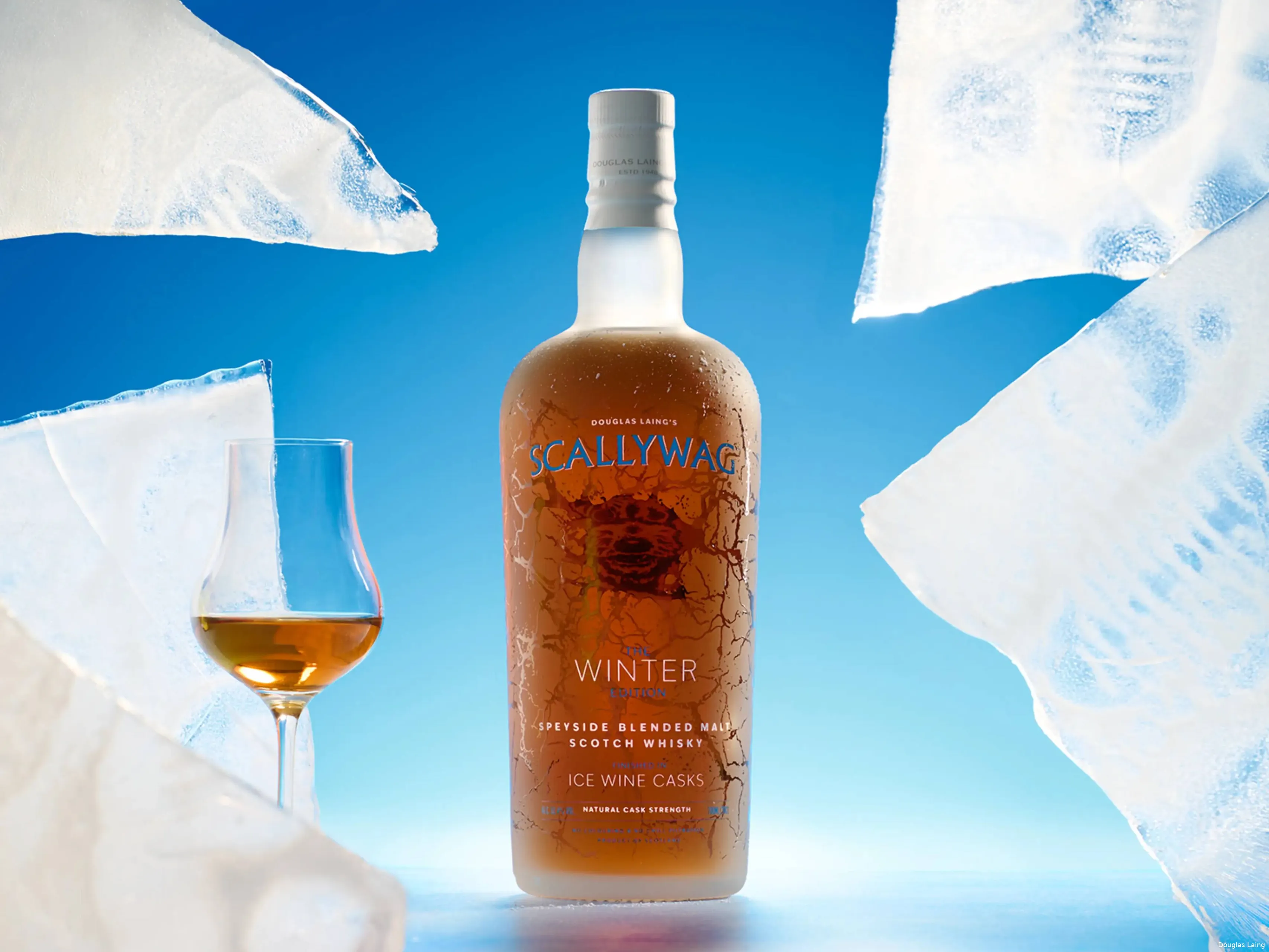 Scallywag The Winter Edition 2025 whisky