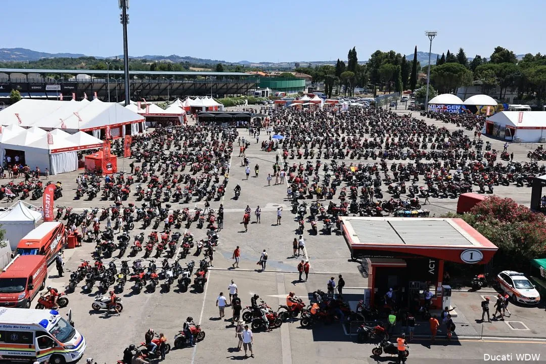 295289422 7740996585941465 156983348396603520 n