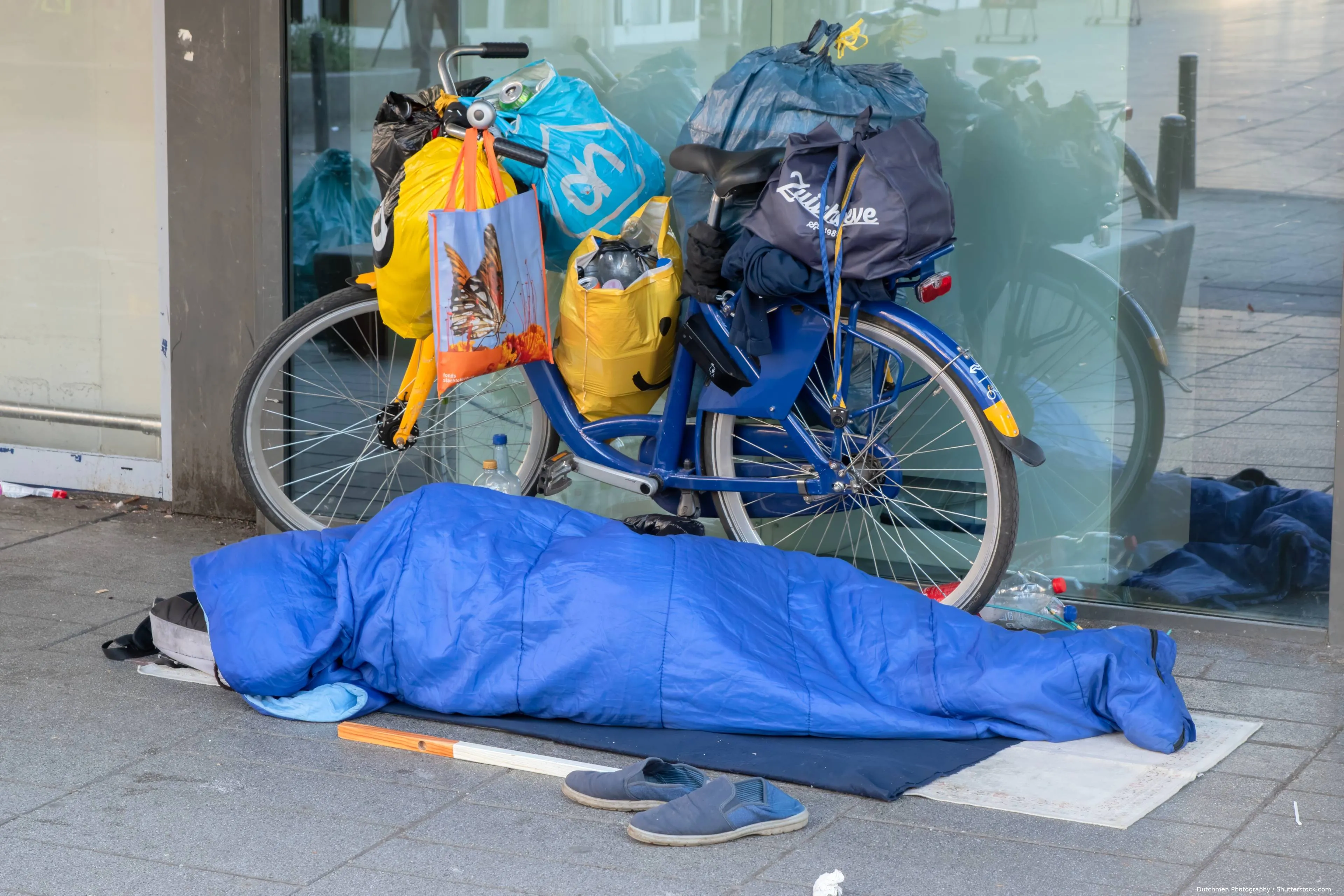 shutterstock_2621183549