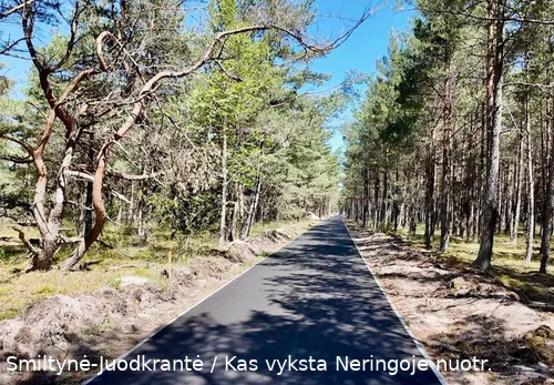 Dviračių takas Smiltynė-Juodkrantė