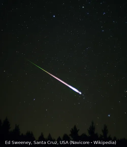 leonid meteor wikipedia sm