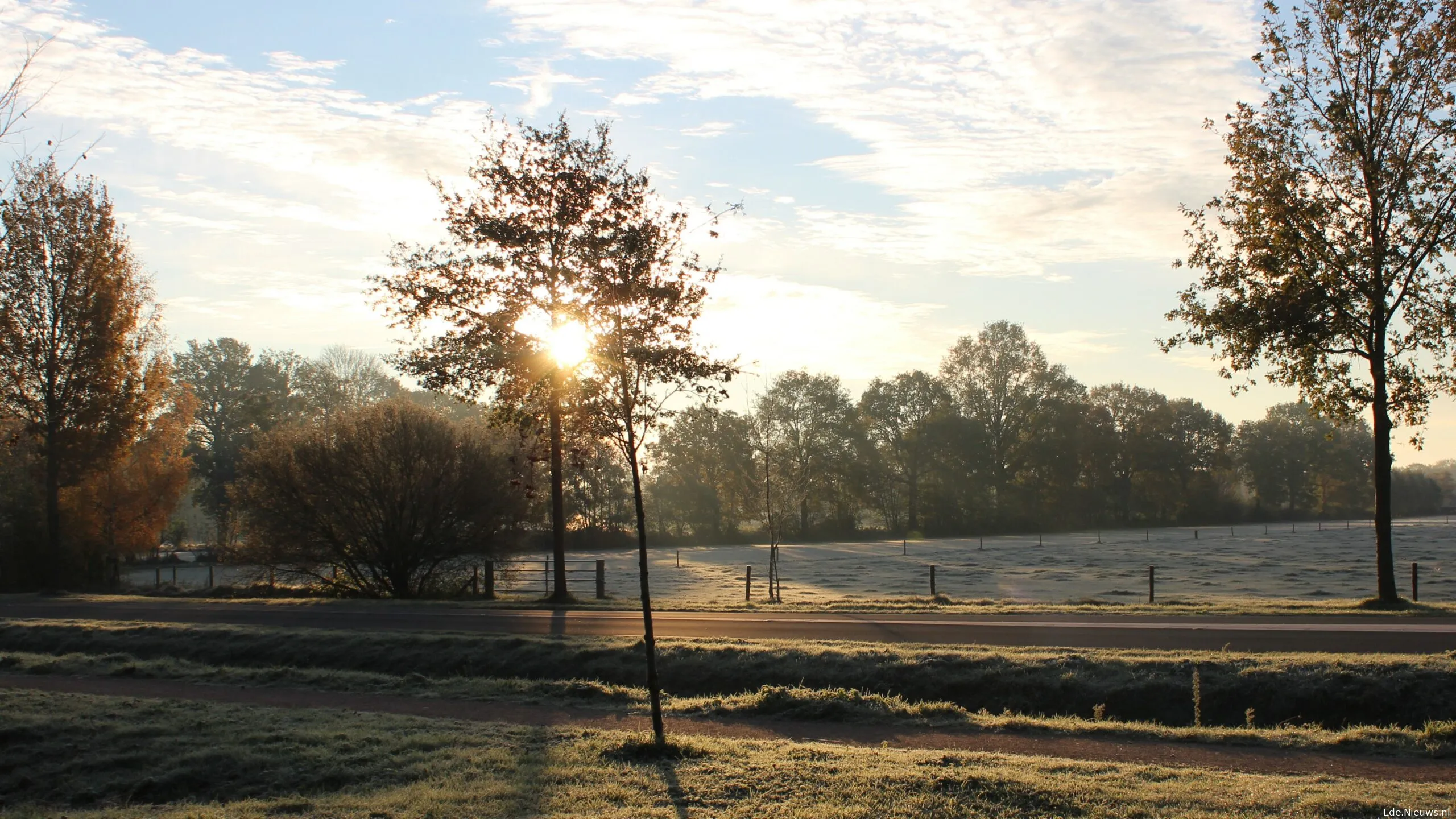 vorst op 20 nov 2022 lunteren scaled