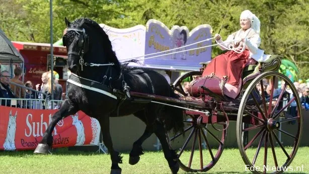 bennekom paarden