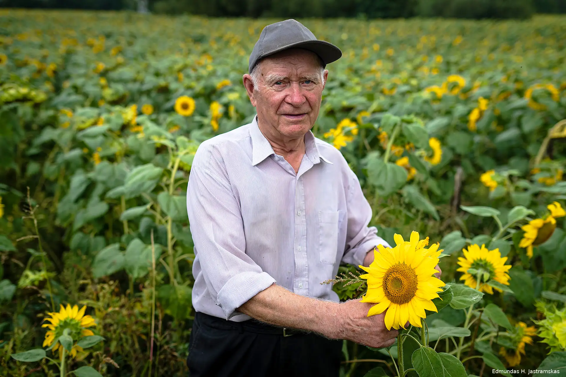 edmundas h jastramskas