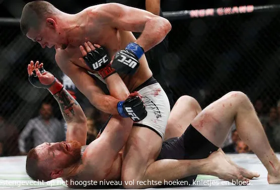 mcgreg diaz ufc