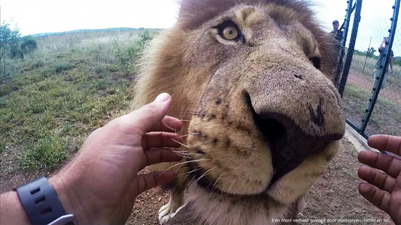 kevin richardson